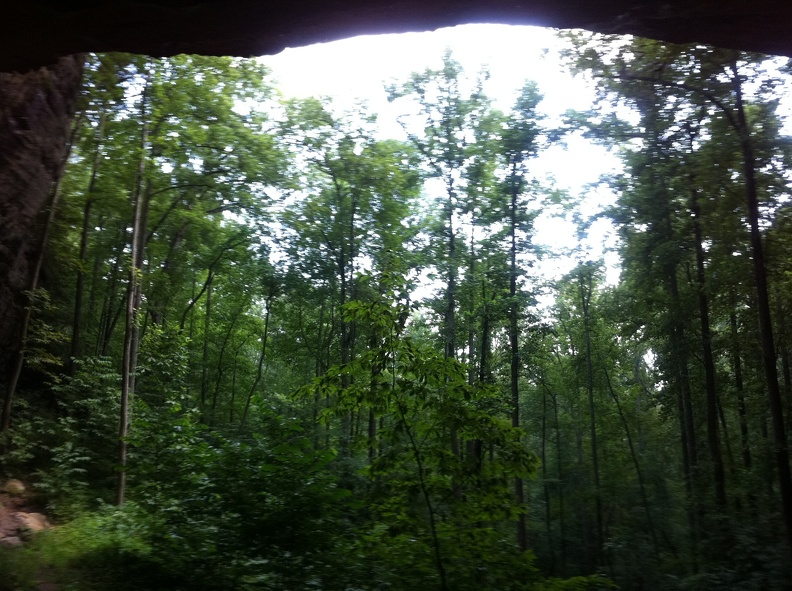 Sheltowee Trace_ Red River Gorge 9.jpg